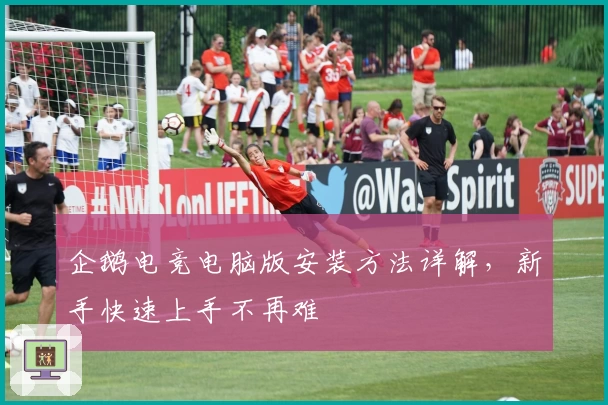 企鹅电竞电脑版安装方法详解，新手快速上手不再难