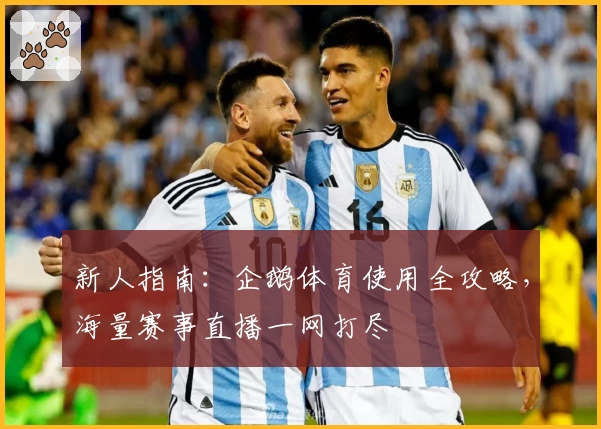 新人指南：企鹅体育使用全攻略，海量赛事直播一网打尽