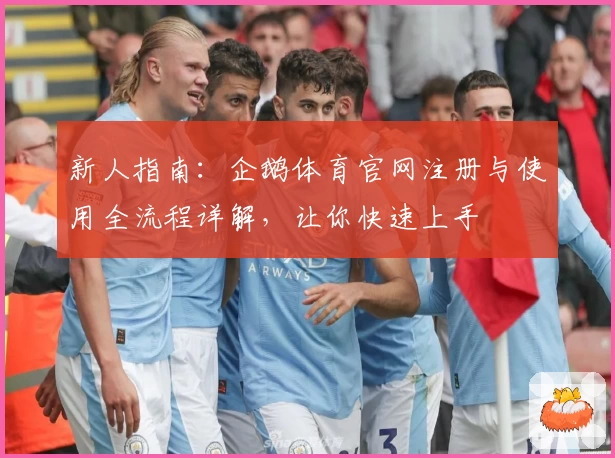 新人指南：企鹅体育官网注册与使用全流程详解，让你快速上手