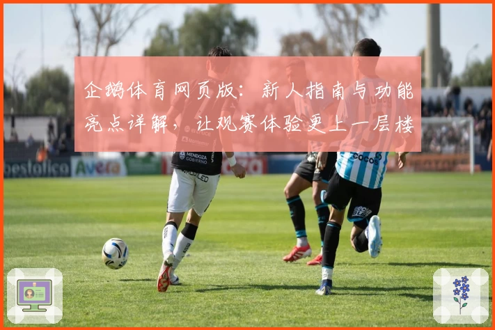 企鹅体育网页版:新人指南与功能亮点详解,让观赛体验更上一层楼