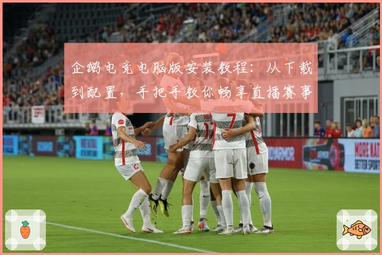 企鹅电竞电脑版安装教程：从下载到配置，手把手教你畅享直播赛事