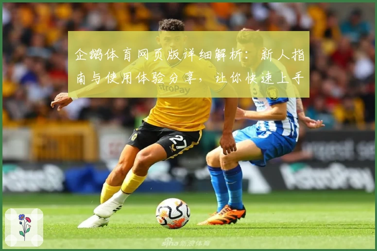 企鹅体育网页版详细解析：新人指南与使用体验分享，让你快速上手