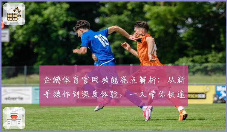 企鹅体育官网功能亮点解析：从新手操作到深度体验，一文带你快速上手